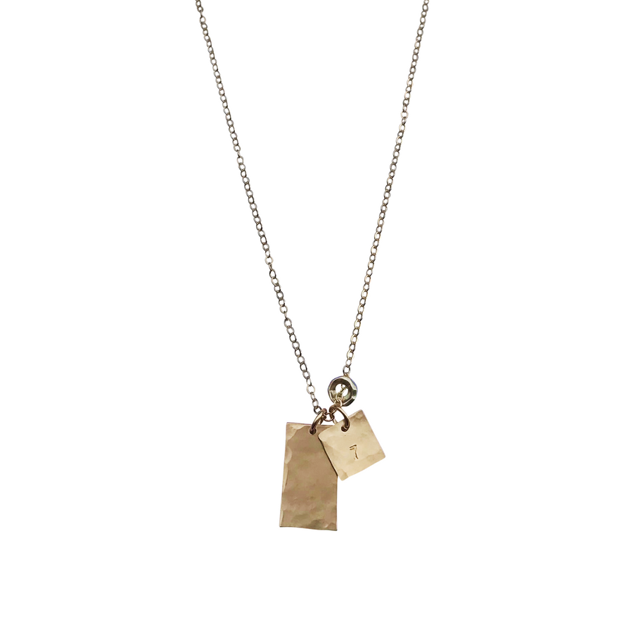 The Jackson Medium Tag Necklace in Gold color